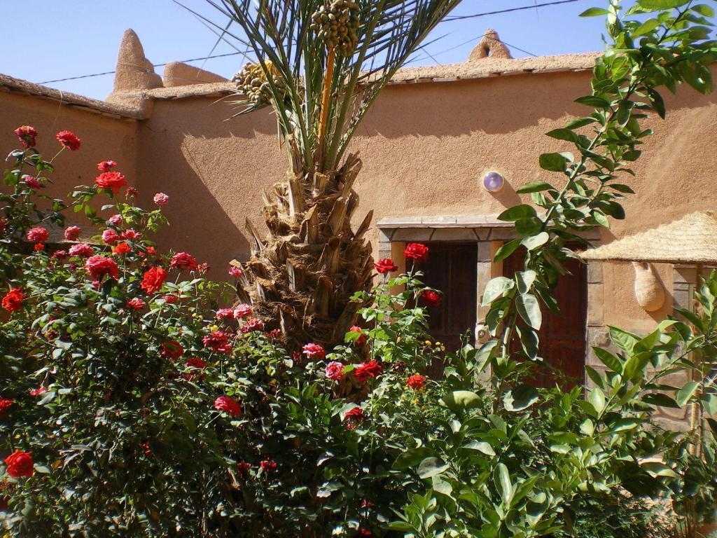 Maison D' Hotes Ait Hmid Nkob Exterior photo