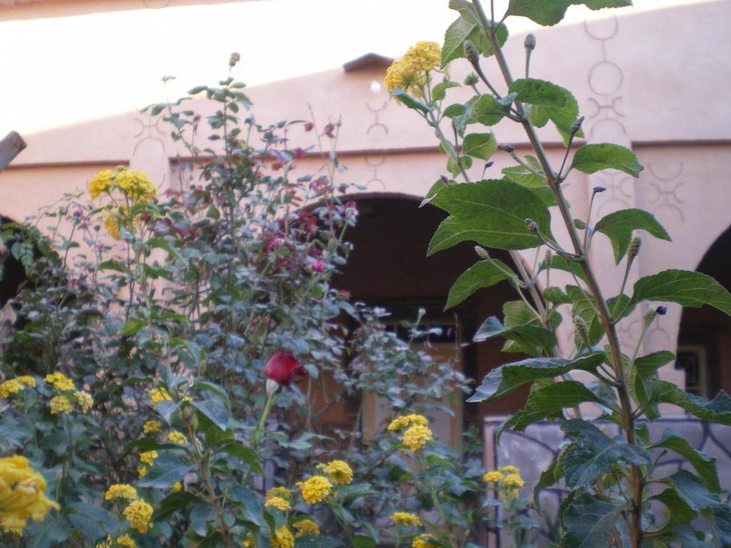 Maison D' Hotes Ait Hmid Nkob Exterior photo
