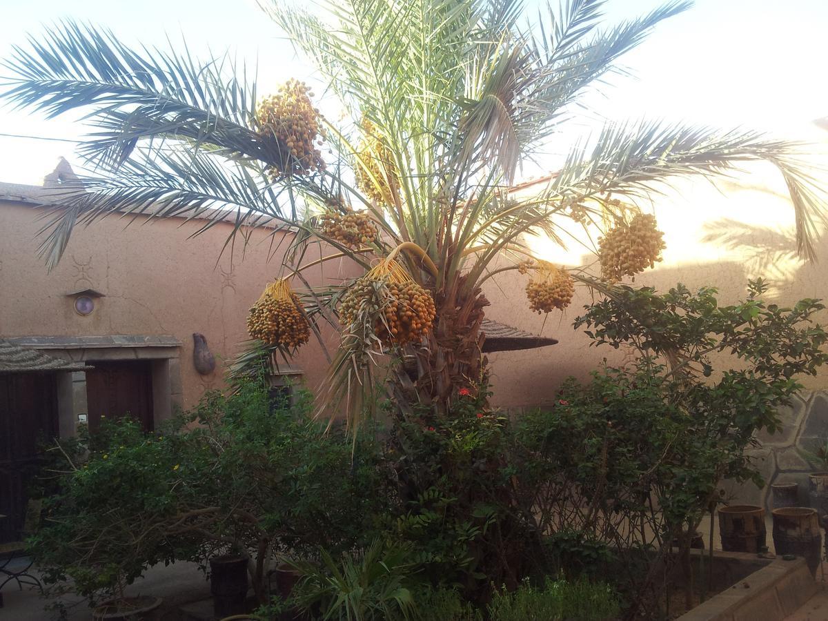 Maison D' Hotes Ait Hmid Nkob Exterior photo